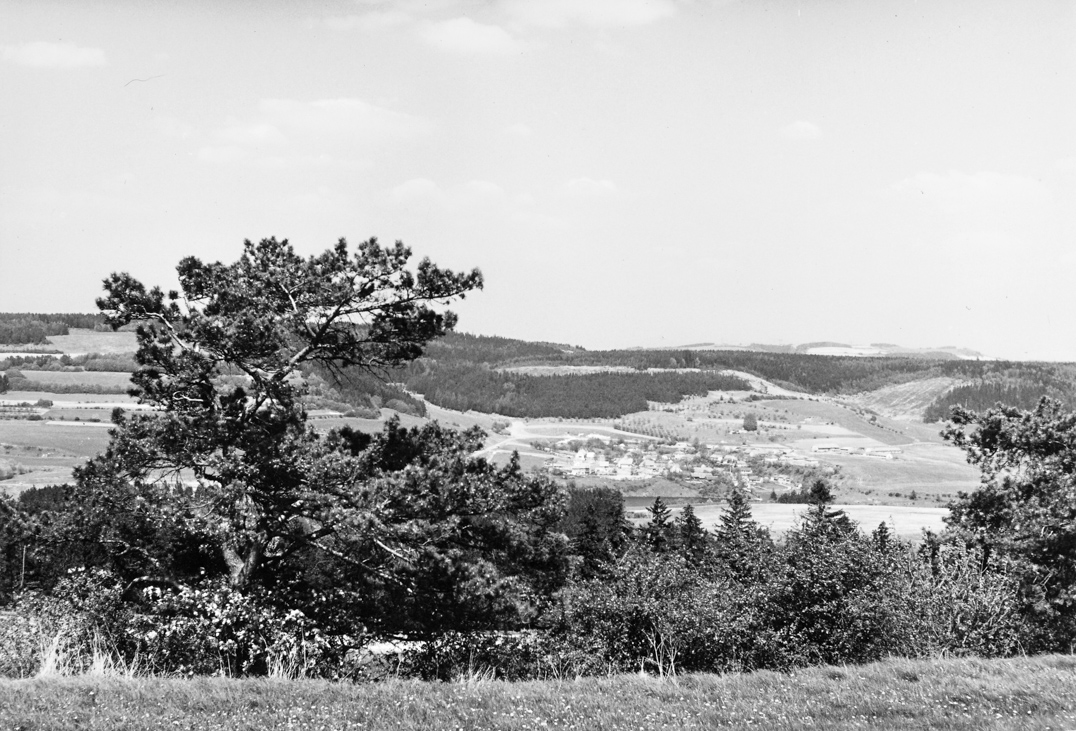 1. Lazinov – pohled od Sulíkova – v létě (foto: František Továrek)