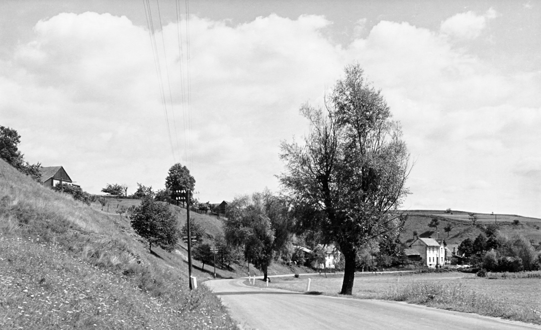7. Silnice od Křetína do Lazinova (foto: František Továrek)