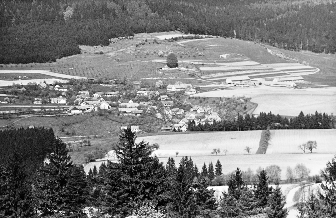 8. Lazinov – pohled z protější stráně – 1971 (foto: František Továrek)