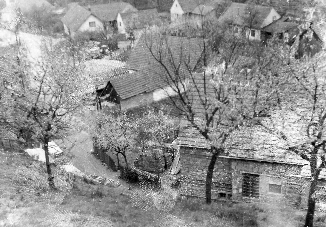 40. Lazinov - ulička kolem Ondříčkových (foto: z archívu Anežky Ondříčkové)